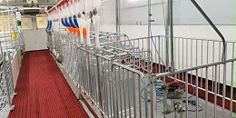 為什么養殖場都在用不銹鋼管圍欄？